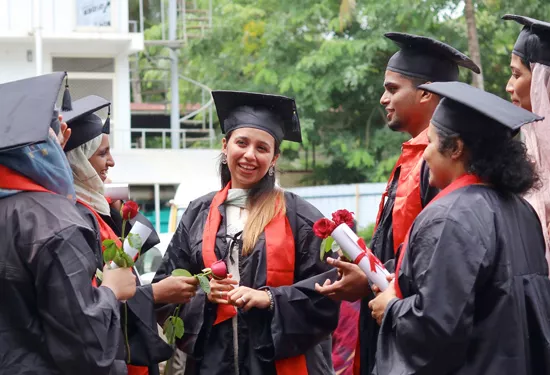 Placements @ Cindrebay