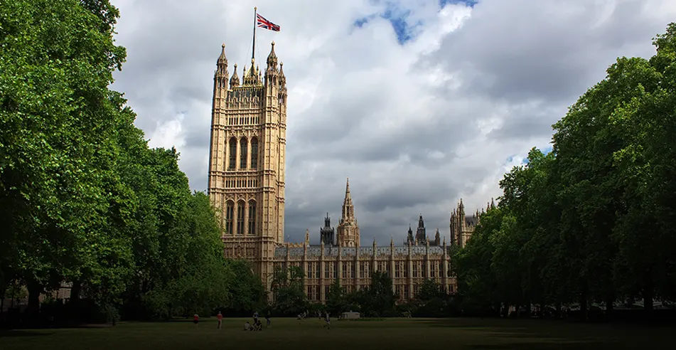 Palace of Westminster amid trees